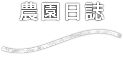 ブログ blog