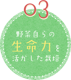 03 野菜自らの生命力を活かした栽培